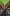 Vanilla  by Mojang - Minecraft cape preview